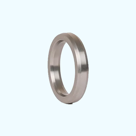 R-Octogonal Ring Gasket